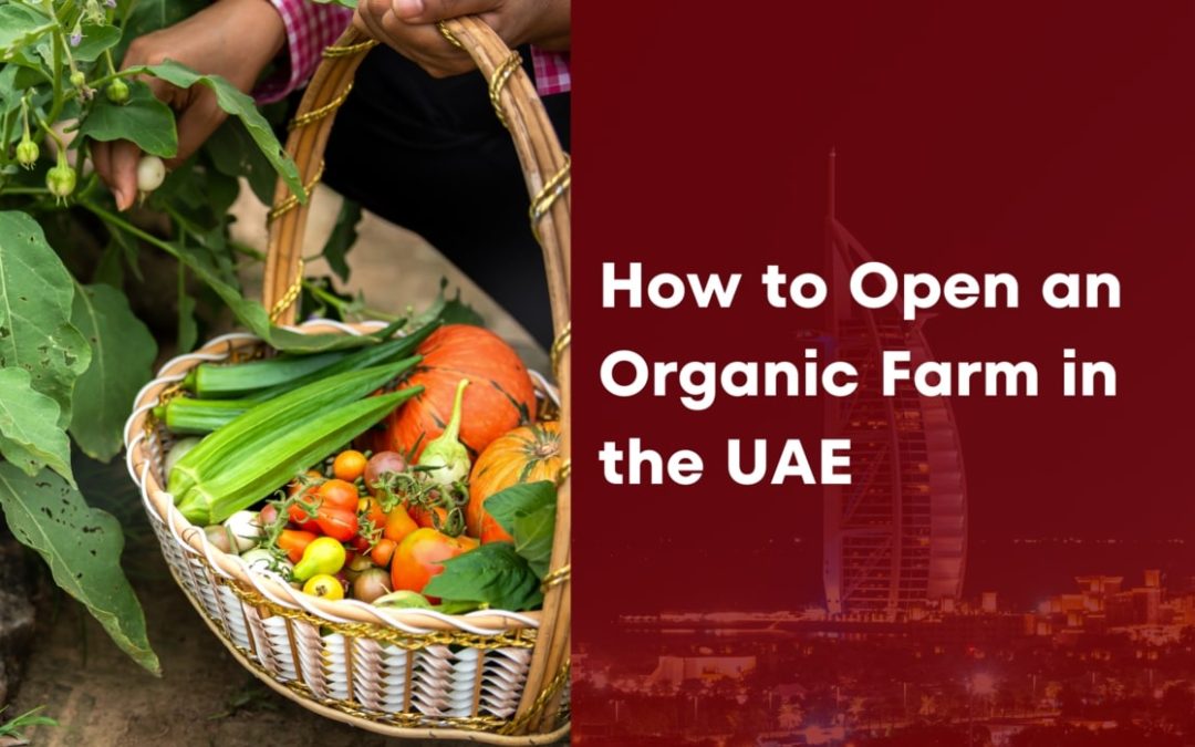 How to Open an Organic Farm in the UAE