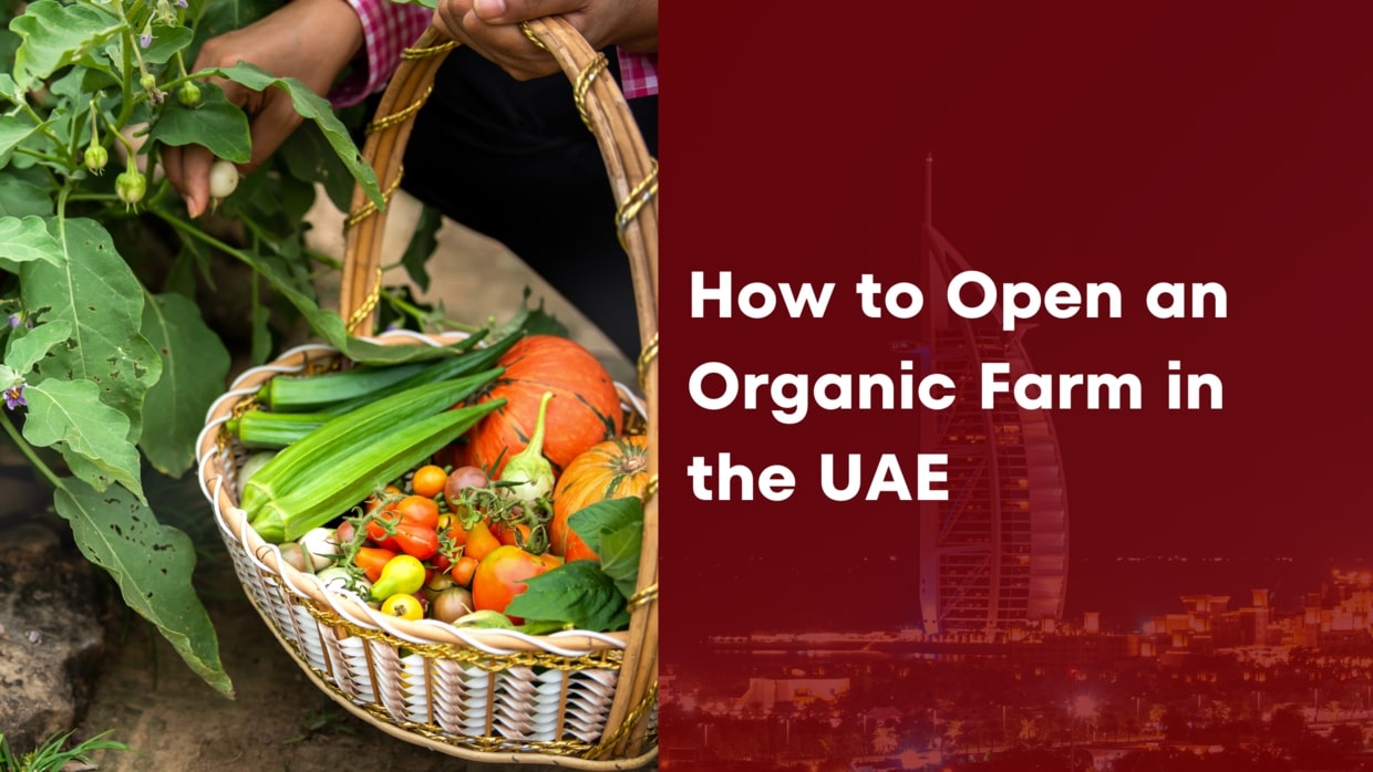 How-to-Open-an-Organic-Farm-in-the-UAE-1