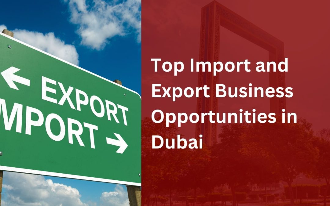 10 Top Import and Export Business Opportunities in Dubai