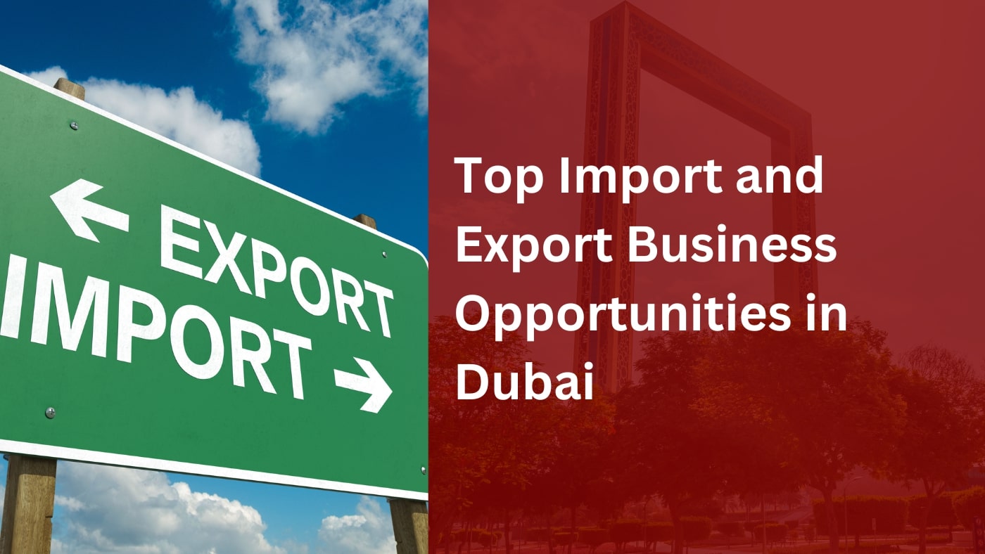 Top-Import-and-Export-Business-Opportunities-in-Dubai